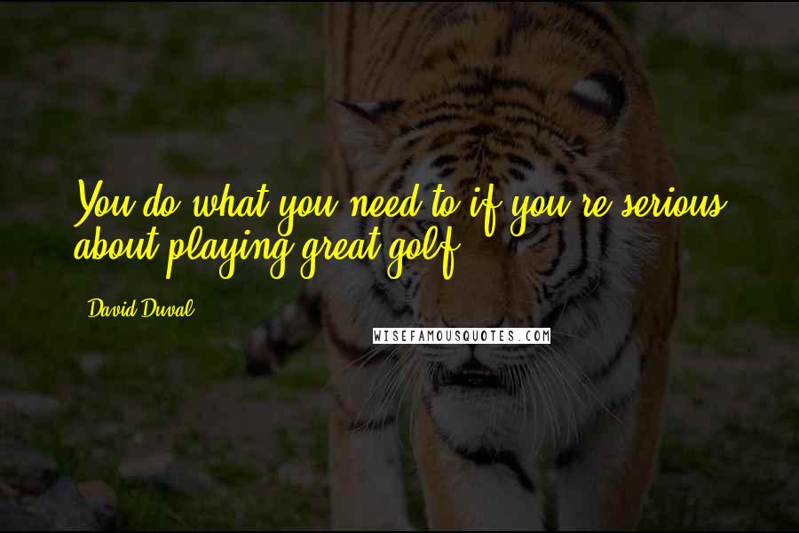 David Duval Quotes: You do what you need to if you're serious about playing great golf.