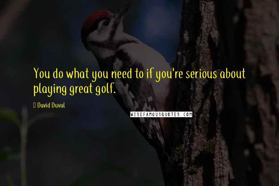 David Duval Quotes: You do what you need to if you're serious about playing great golf.