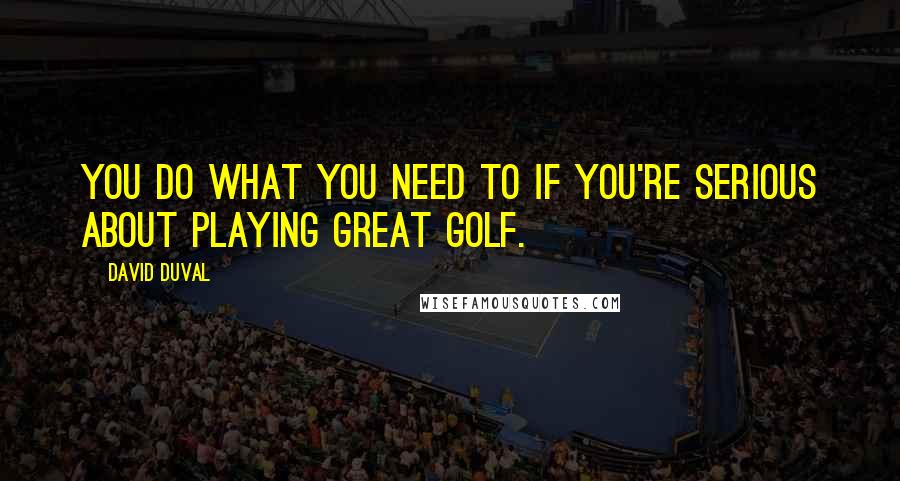 David Duval Quotes: You do what you need to if you're serious about playing great golf.