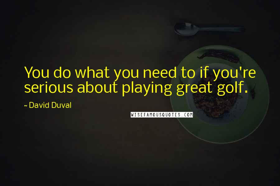 David Duval Quotes: You do what you need to if you're serious about playing great golf.