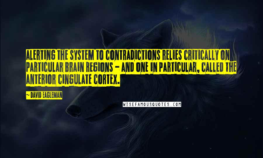 David Eagleman Quotes: alerting the system to contradictions relies critically on particular brain regions - and one in particular, called the anterior cingulate cortex.