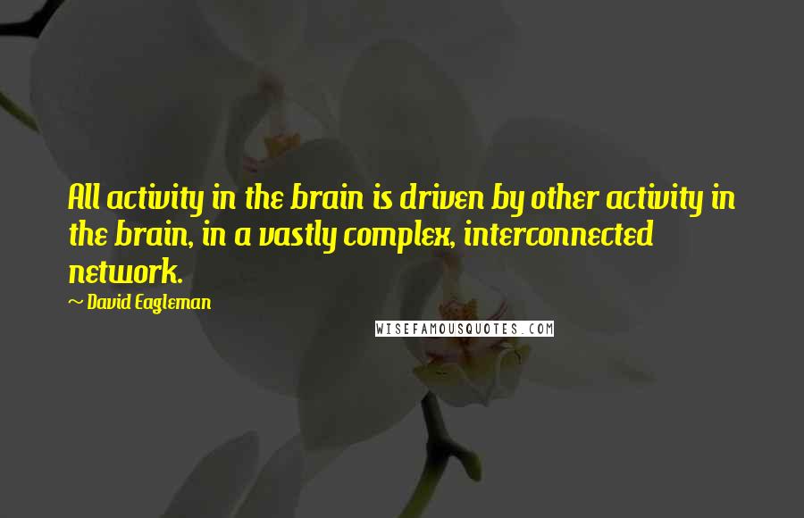 David Eagleman Quotes: All activity in the brain is driven by other activity in the brain, in a vastly complex, interconnected network.