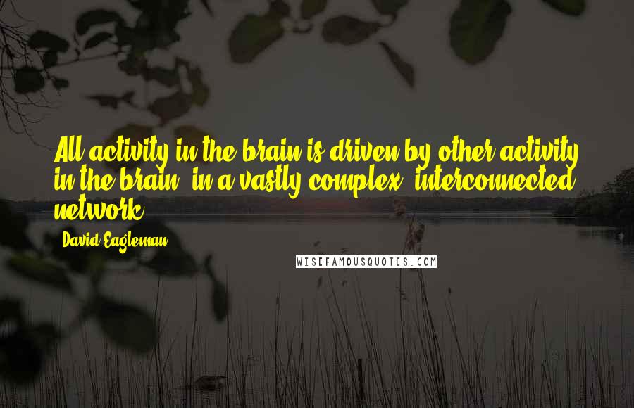 David Eagleman Quotes: All activity in the brain is driven by other activity in the brain, in a vastly complex, interconnected network.