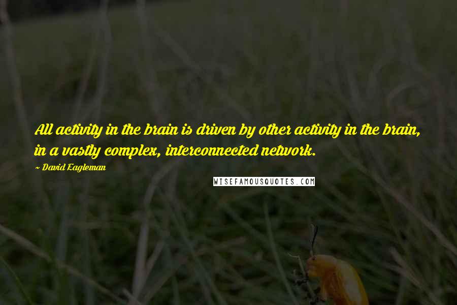 David Eagleman Quotes: All activity in the brain is driven by other activity in the brain, in a vastly complex, interconnected network.
