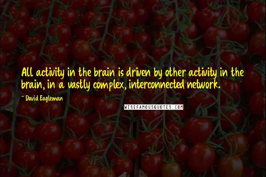 David Eagleman Quotes: All activity in the brain is driven by other activity in the brain, in a vastly complex, interconnected network.