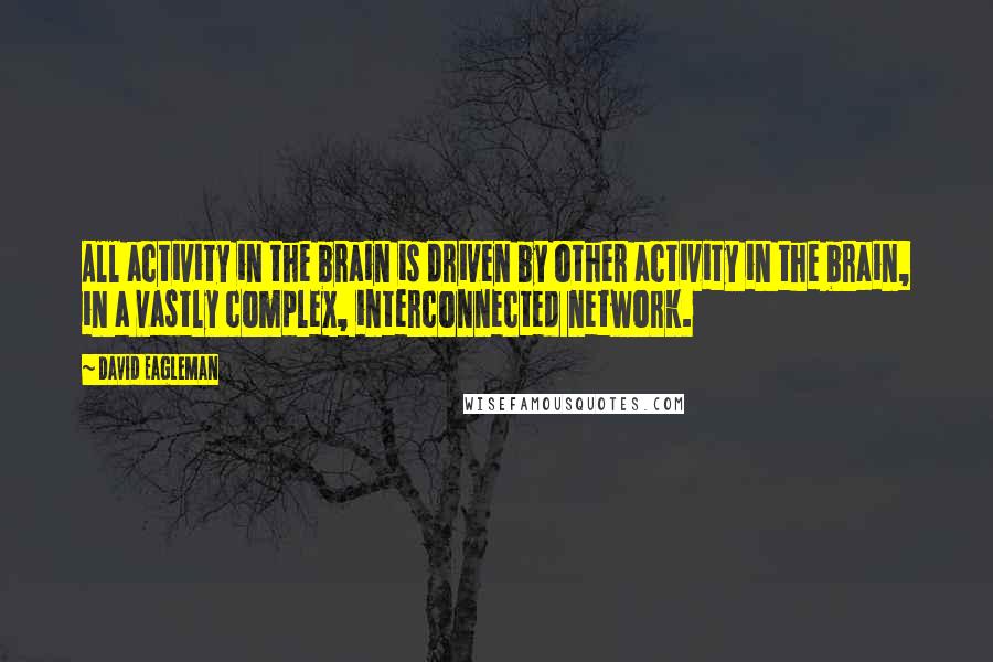 David Eagleman Quotes: All activity in the brain is driven by other activity in the brain, in a vastly complex, interconnected network.
