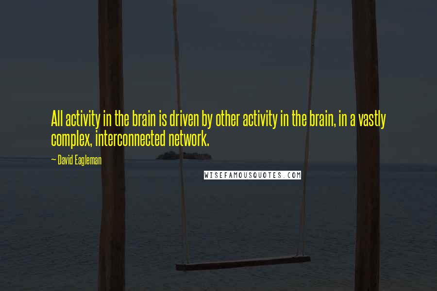 David Eagleman Quotes: All activity in the brain is driven by other activity in the brain, in a vastly complex, interconnected network.