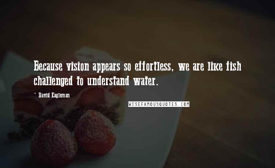 David Eagleman Quotes: Because vision appears so effortless, we are like fish challenged to understand water.