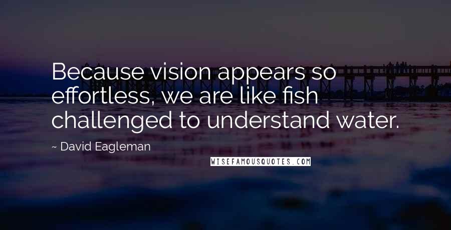 David Eagleman Quotes: Because vision appears so effortless, we are like fish challenged to understand water.