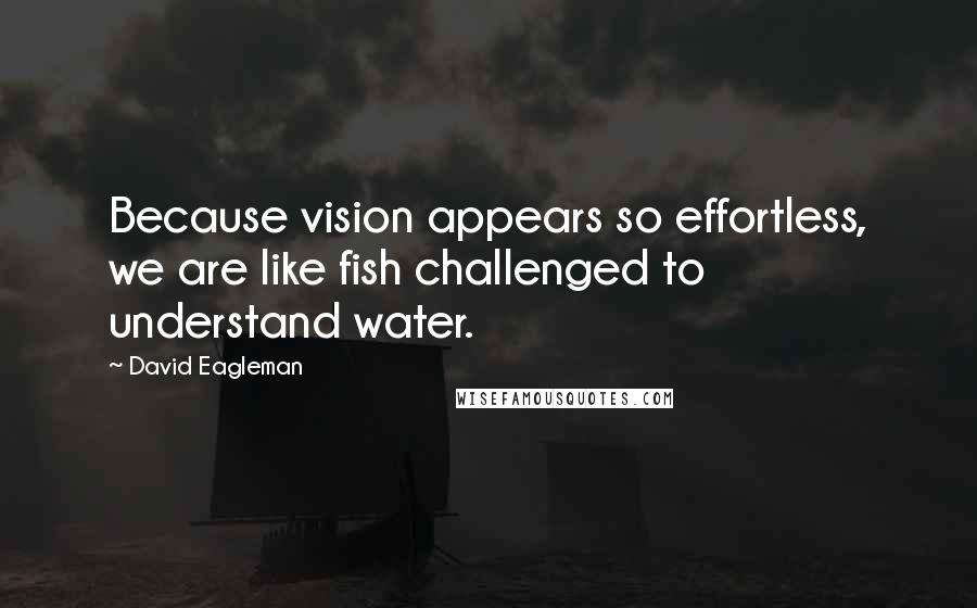 David Eagleman Quotes: Because vision appears so effortless, we are like fish challenged to understand water.