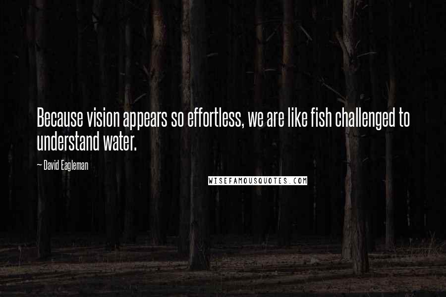 David Eagleman Quotes: Because vision appears so effortless, we are like fish challenged to understand water.