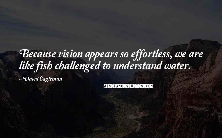 David Eagleman Quotes: Because vision appears so effortless, we are like fish challenged to understand water.