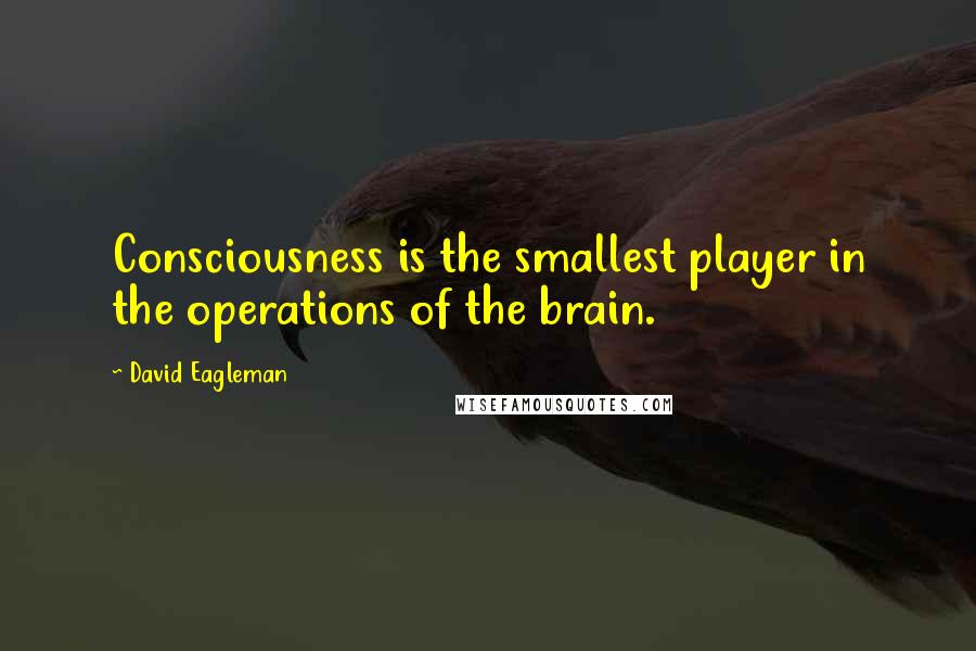 David Eagleman Quotes: Consciousness is the smallest player in the operations of the brain.