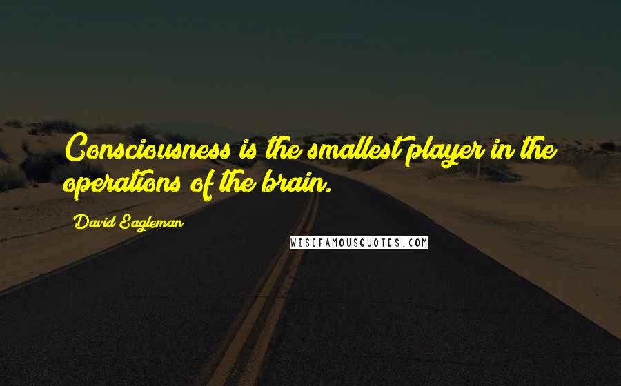 David Eagleman Quotes: Consciousness is the smallest player in the operations of the brain.