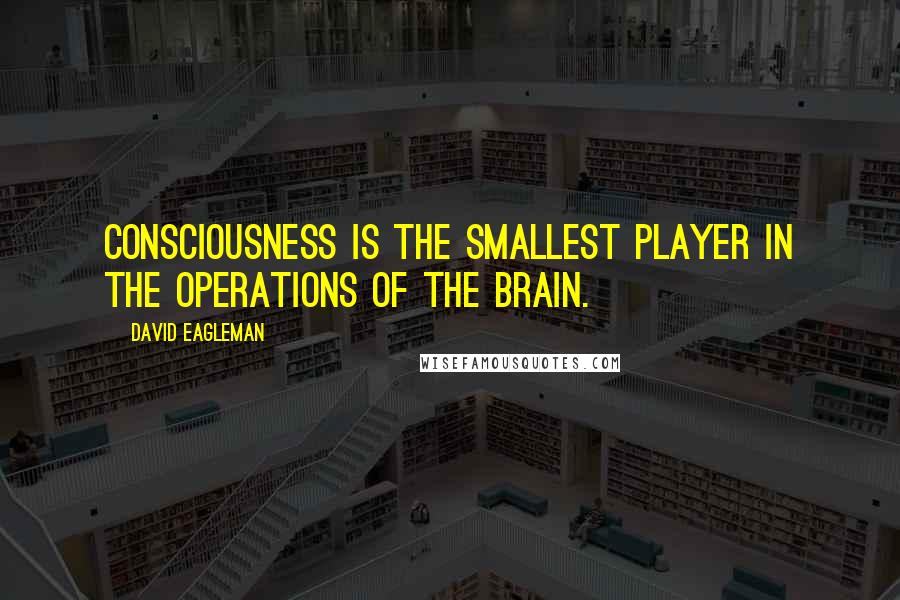 David Eagleman Quotes: Consciousness is the smallest player in the operations of the brain.