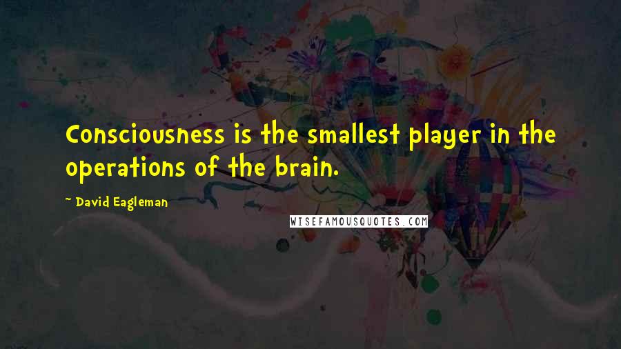 David Eagleman Quotes: Consciousness is the smallest player in the operations of the brain.