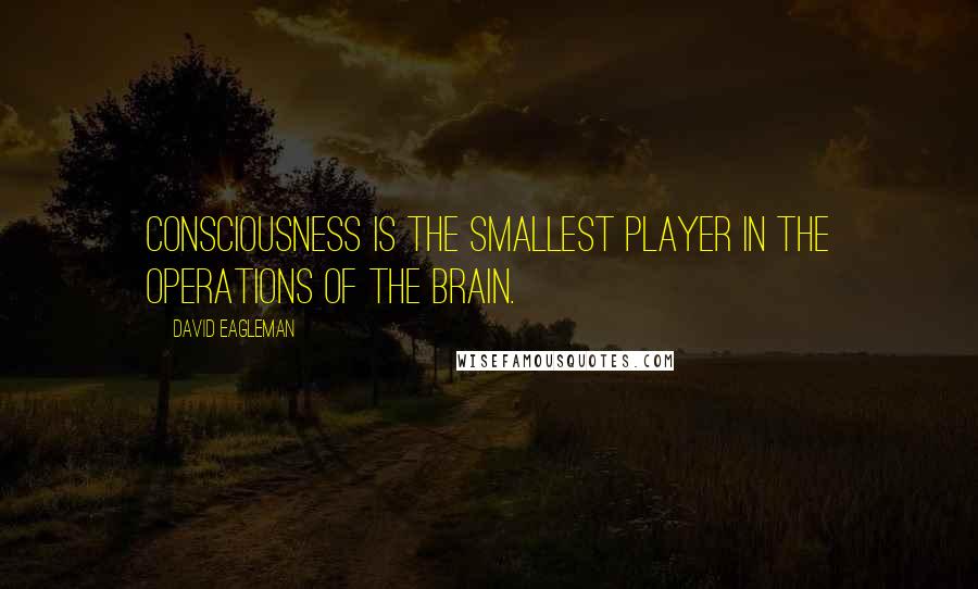 David Eagleman Quotes: Consciousness is the smallest player in the operations of the brain.