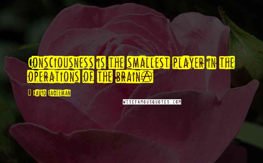 David Eagleman Quotes: Consciousness is the smallest player in the operations of the brain.