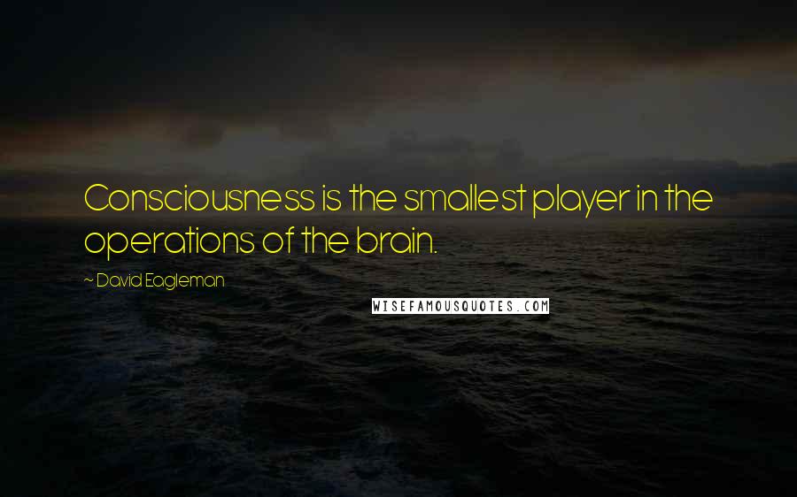 David Eagleman Quotes: Consciousness is the smallest player in the operations of the brain.