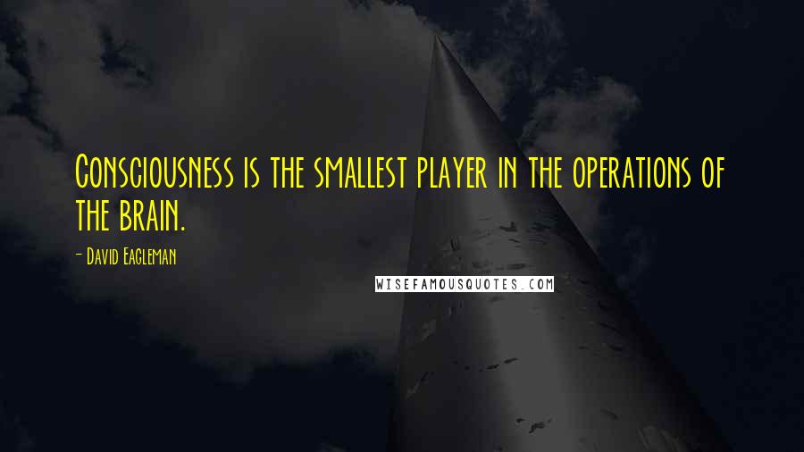 David Eagleman Quotes: Consciousness is the smallest player in the operations of the brain.