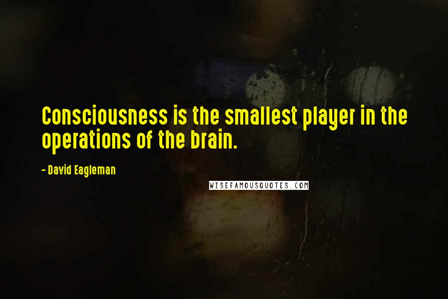 David Eagleman Quotes: Consciousness is the smallest player in the operations of the brain.