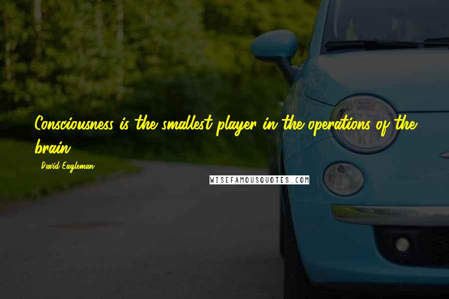 David Eagleman Quotes: Consciousness is the smallest player in the operations of the brain.