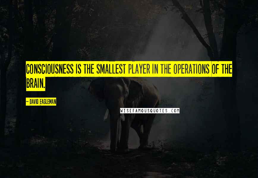 David Eagleman Quotes: Consciousness is the smallest player in the operations of the brain.