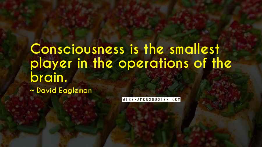 David Eagleman Quotes: Consciousness is the smallest player in the operations of the brain.