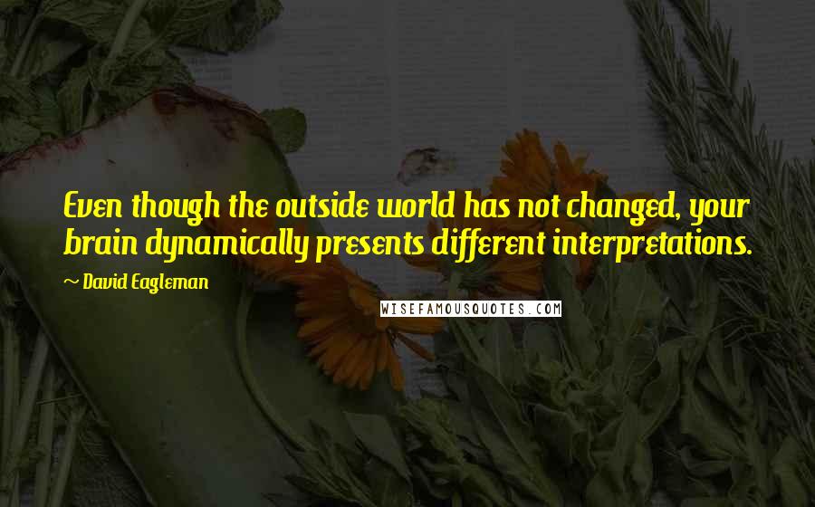 David Eagleman Quotes: Even though the outside world has not changed, your brain dynamically presents different interpretations.