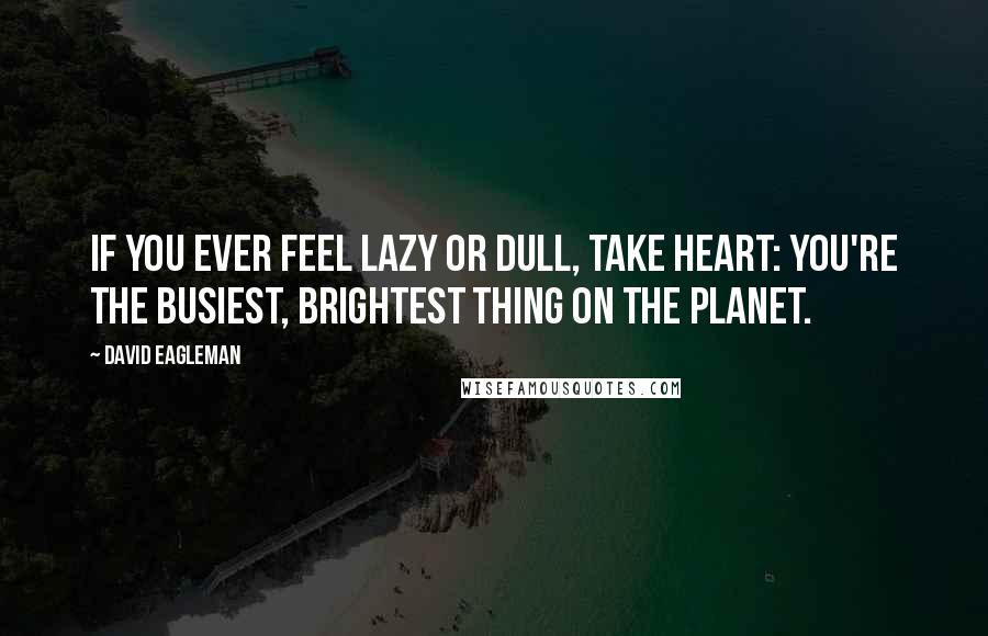 David Eagleman Quotes: If you ever feel lazy or dull, take heart: you're the busiest, brightest thing on the planet.