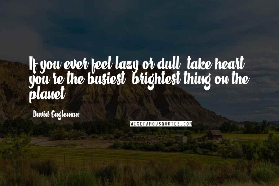 David Eagleman Quotes: If you ever feel lazy or dull, take heart: you're the busiest, brightest thing on the planet.