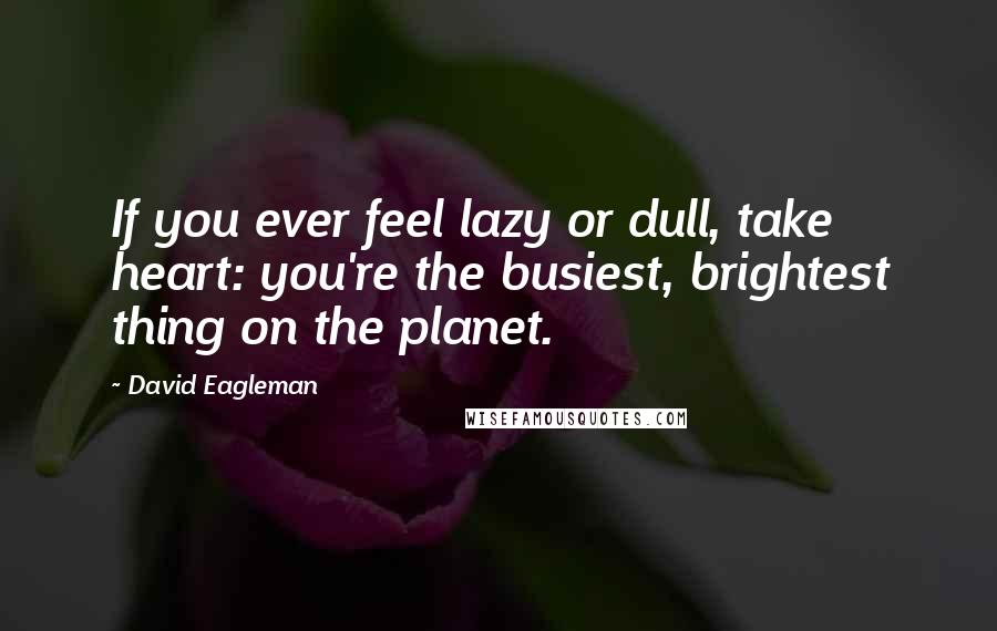 David Eagleman Quotes: If you ever feel lazy or dull, take heart: you're the busiest, brightest thing on the planet.