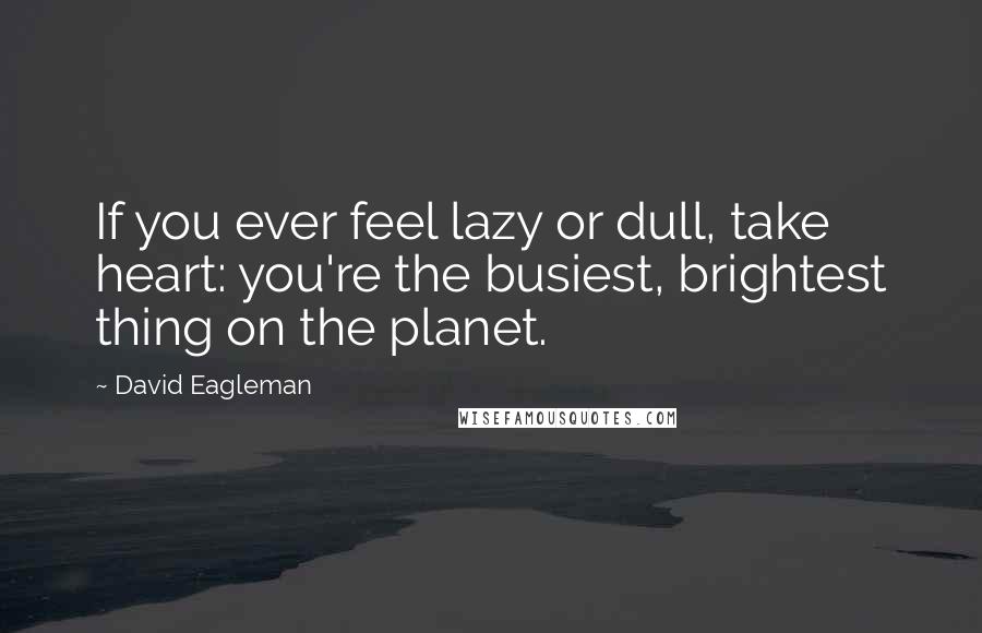 David Eagleman Quotes: If you ever feel lazy or dull, take heart: you're the busiest, brightest thing on the planet.