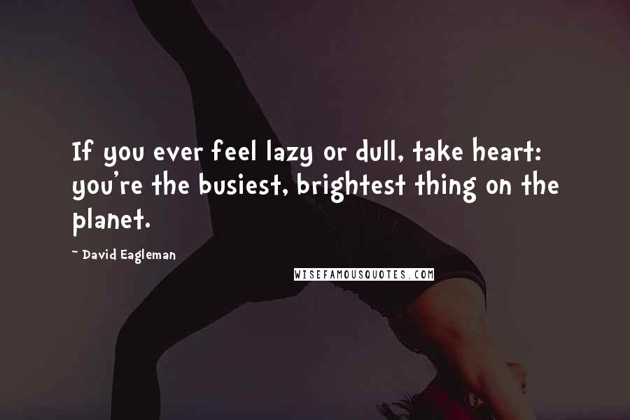 David Eagleman Quotes: If you ever feel lazy or dull, take heart: you're the busiest, brightest thing on the planet.