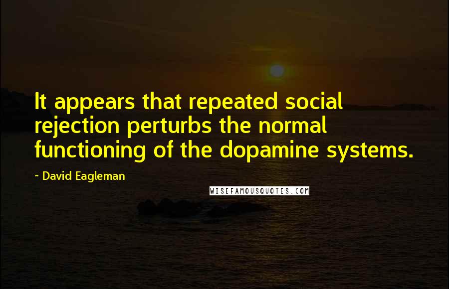 David Eagleman Quotes: It appears that repeated social rejection perturbs the normal functioning of the dopamine systems.