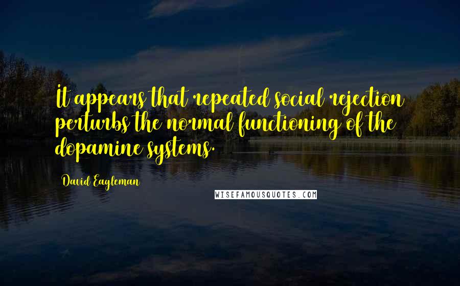 David Eagleman Quotes: It appears that repeated social rejection perturbs the normal functioning of the dopamine systems.