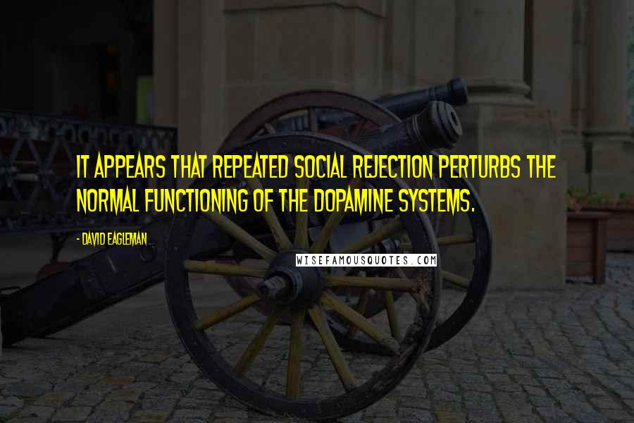 David Eagleman Quotes: It appears that repeated social rejection perturbs the normal functioning of the dopamine systems.