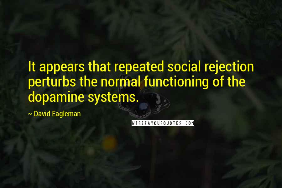 David Eagleman Quotes: It appears that repeated social rejection perturbs the normal functioning of the dopamine systems.