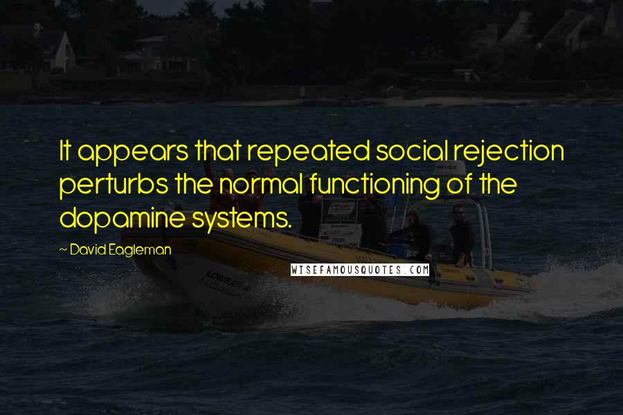 David Eagleman Quotes: It appears that repeated social rejection perturbs the normal functioning of the dopamine systems.