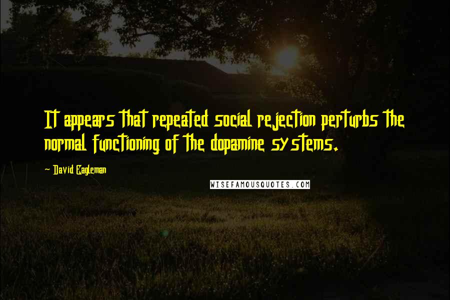 David Eagleman Quotes: It appears that repeated social rejection perturbs the normal functioning of the dopamine systems.