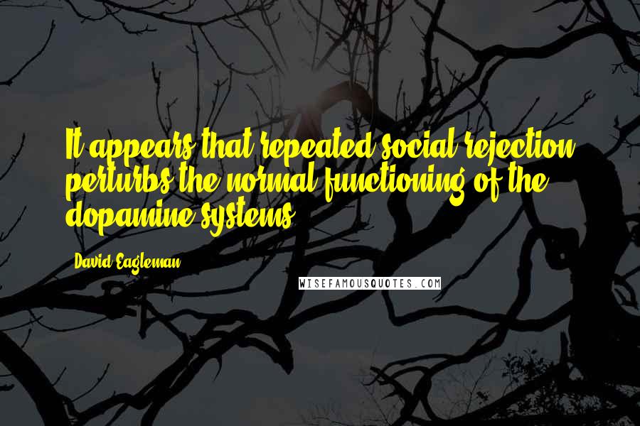 David Eagleman Quotes: It appears that repeated social rejection perturbs the normal functioning of the dopamine systems.