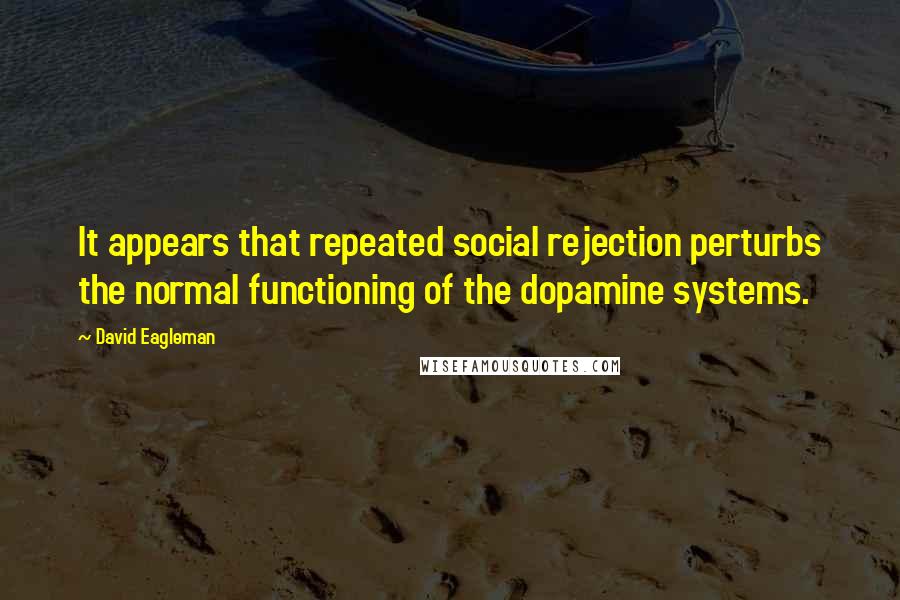 David Eagleman Quotes: It appears that repeated social rejection perturbs the normal functioning of the dopamine systems.