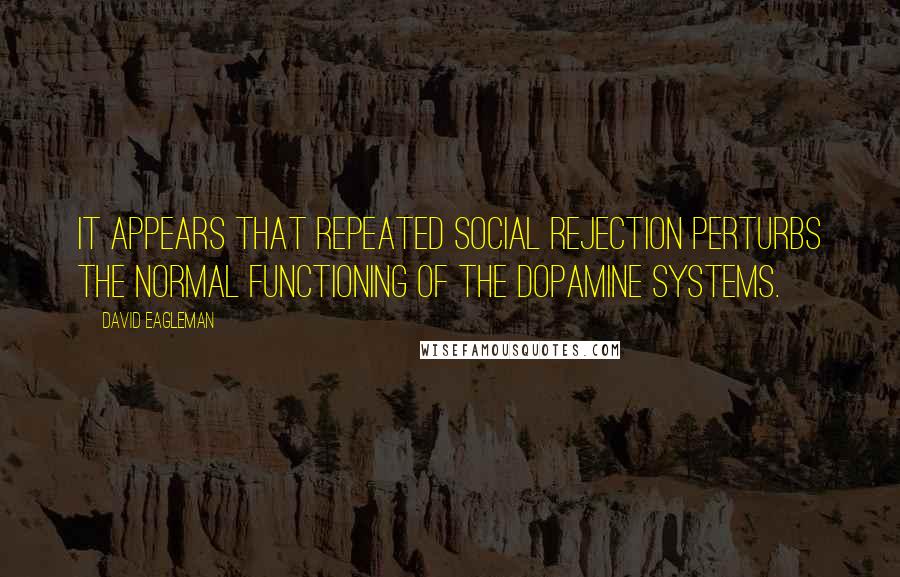 David Eagleman Quotes: It appears that repeated social rejection perturbs the normal functioning of the dopamine systems.