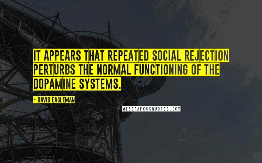 David Eagleman Quotes: It appears that repeated social rejection perturbs the normal functioning of the dopamine systems.