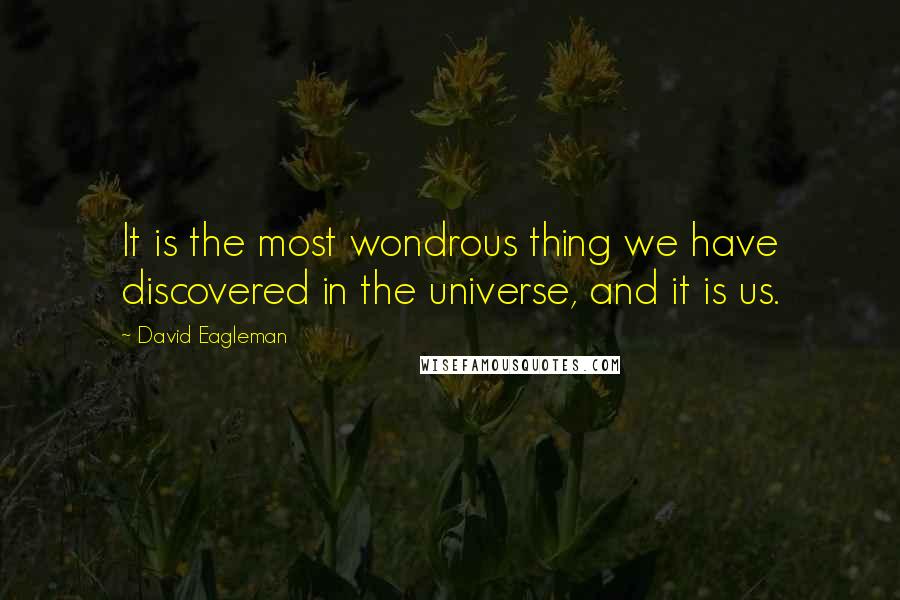David Eagleman Quotes: It is the most wondrous thing we have discovered in the universe, and it is us.