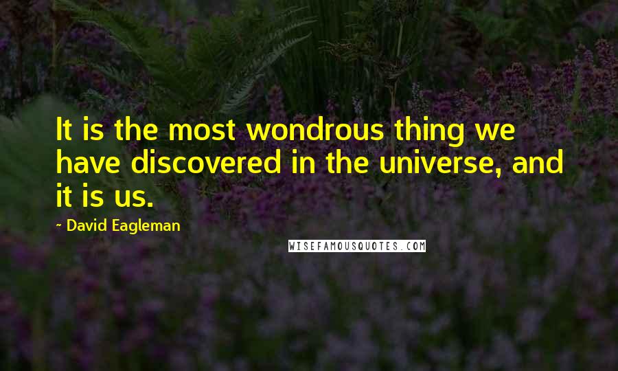 David Eagleman Quotes: It is the most wondrous thing we have discovered in the universe, and it is us.