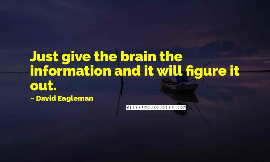 David Eagleman Quotes: Just give the brain the information and it will figure it out.