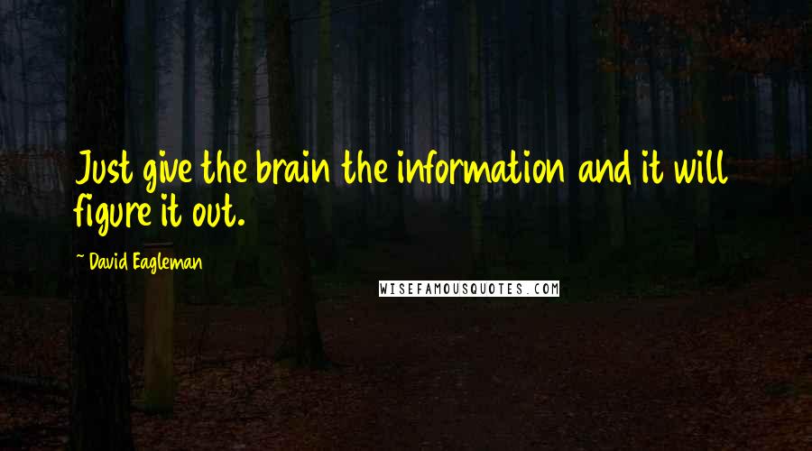 David Eagleman Quotes: Just give the brain the information and it will figure it out.