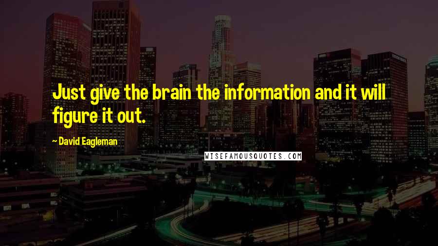 David Eagleman Quotes: Just give the brain the information and it will figure it out.