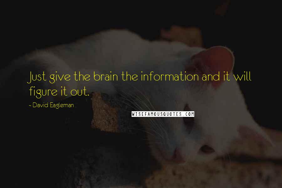 David Eagleman Quotes: Just give the brain the information and it will figure it out.